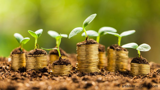 Investment Advisory